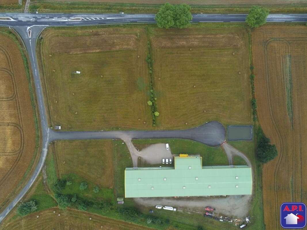 Terrain 3555 m² à Montesquieu-Volvestre  - photo 2