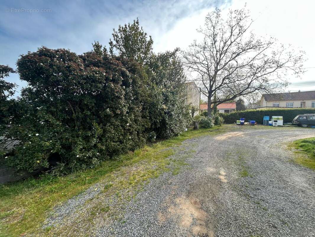 Photo 4 - Terrain à SAINT-JULIEN-DE-CONCELLES