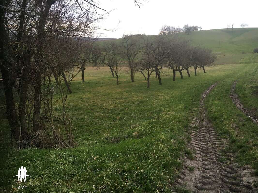 Terrain à VELVING