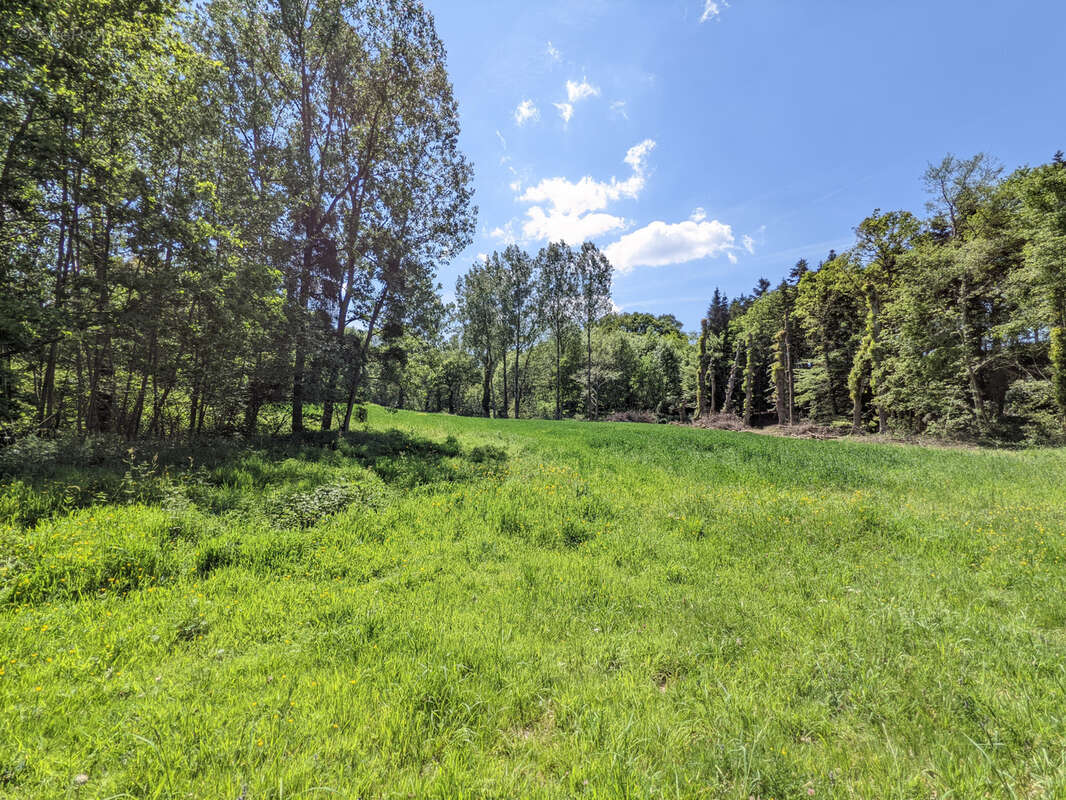 Un Manoir en Brocéliande à acheter avec CHT Immobilier - photo 42