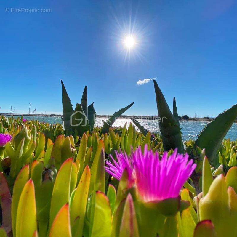 Appartement à LEUCATE