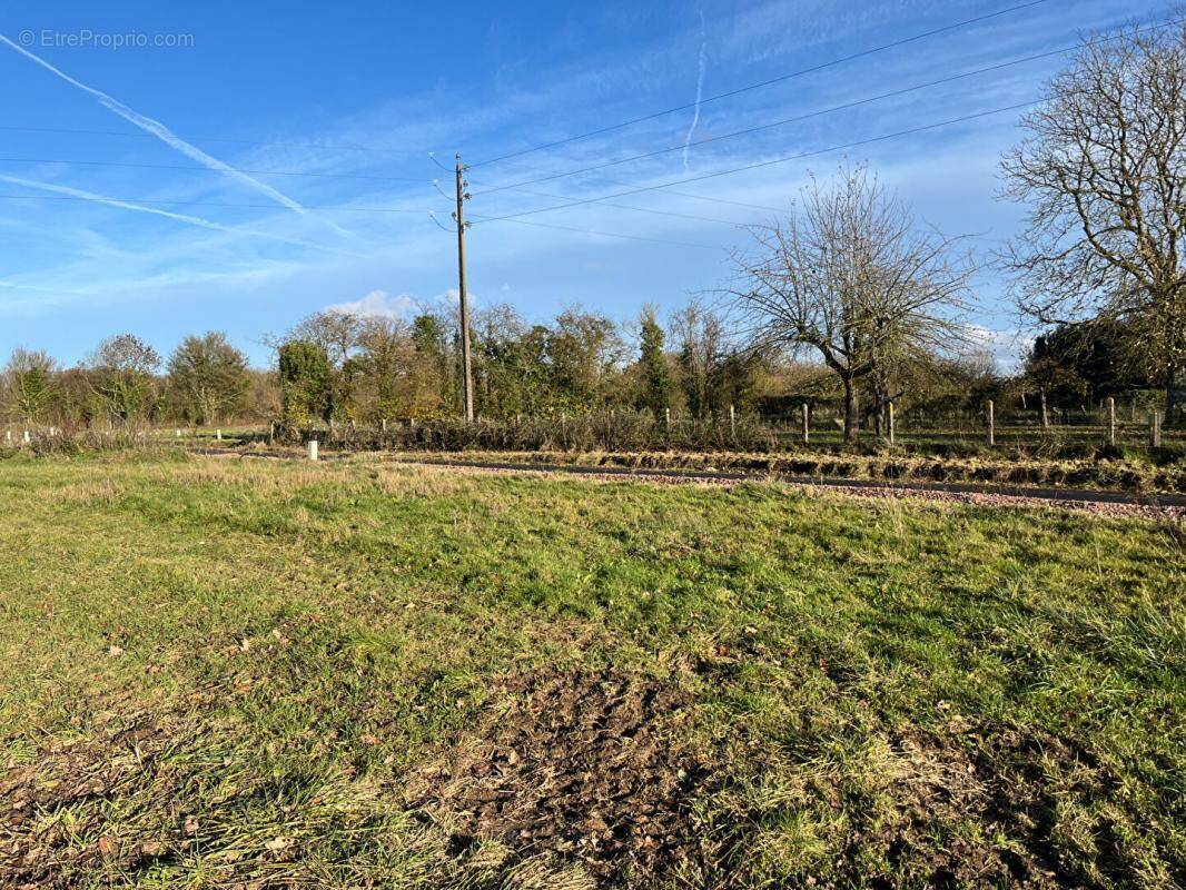 Terrain à NORON-L&#039;ABBAYE