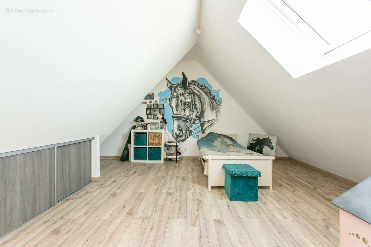 Maison+gite+hangar MESANGER aux portes d'Ancenis - photo 9