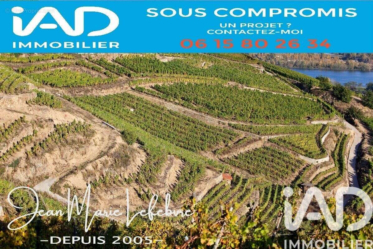 Photo 2 - Terrain à CONDRIEU