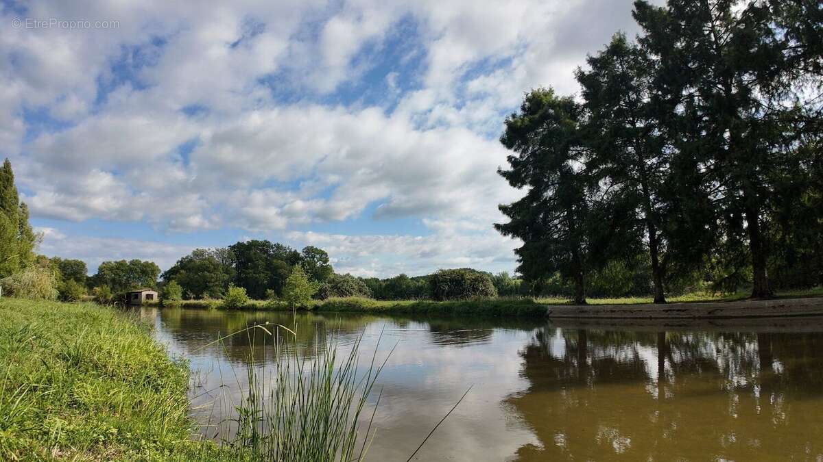 Propriété agricole de caractère avec moulin, terres et bâtiments à 40 minutes de Hossegor - photo 2