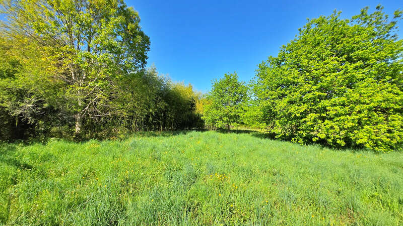 Terrain à ORADOUR-SUR-GLANE