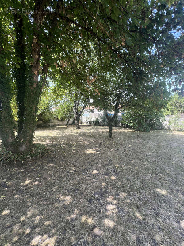  maison de maître   une propriété rare au cœur de saintes  - photo 13