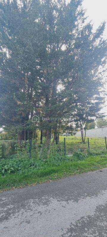 Terrain à MERVILLE-FRANCEVILLE-PLAGE