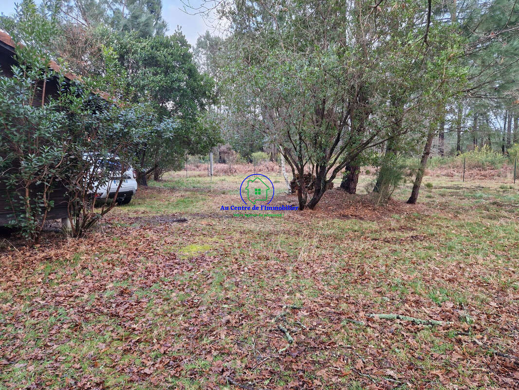 Terrain à BISCARROSSE