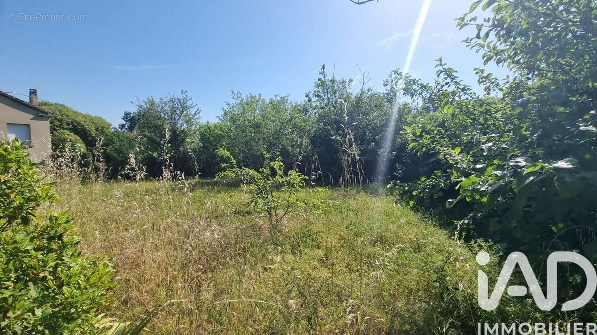 Terrain 600 m² à Lagarrigue  - photo 3
