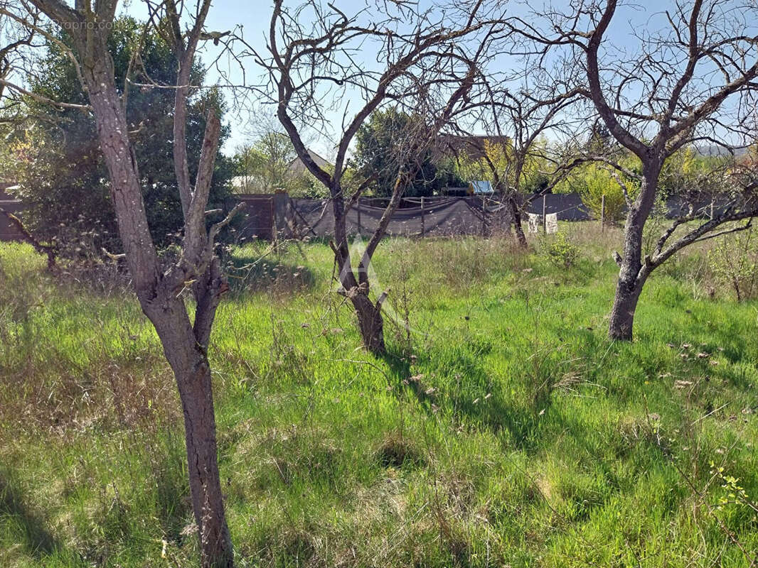 Terrain à LES MUREAUX