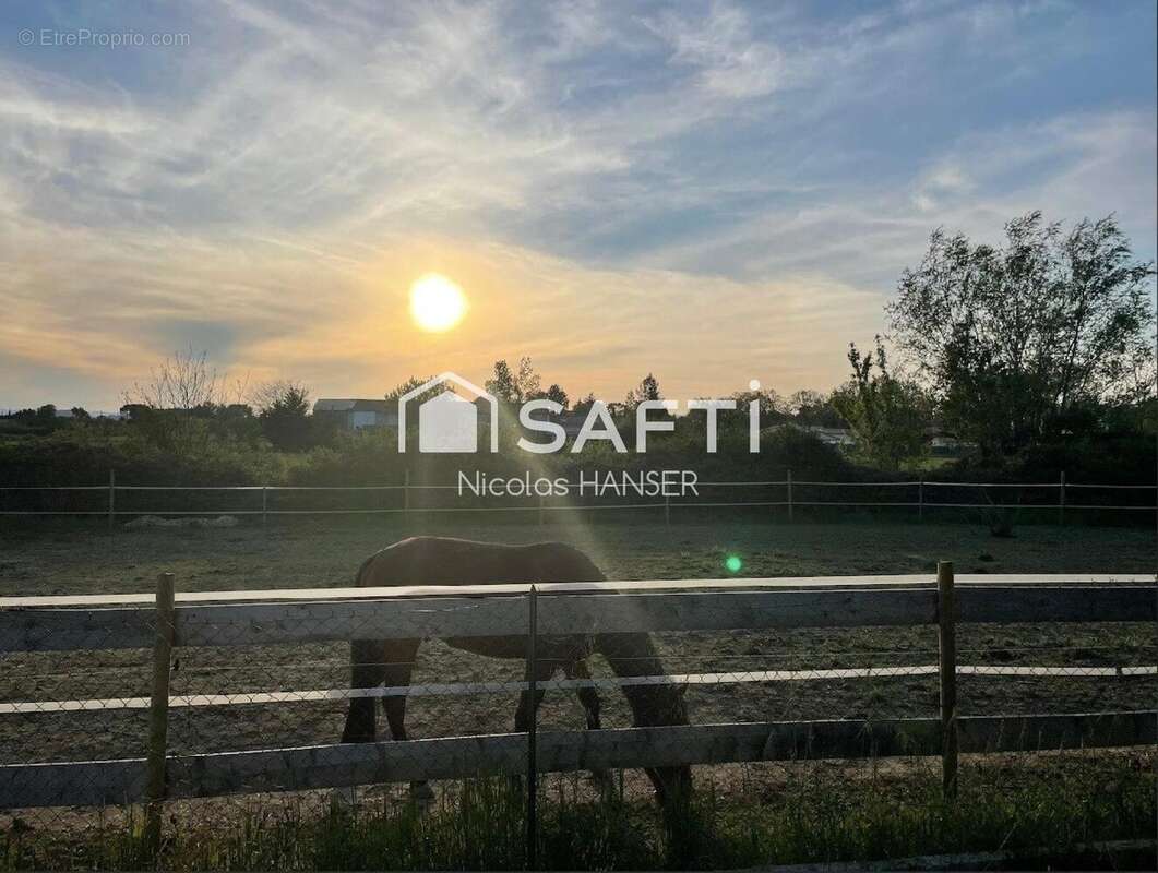 Photo 4 - Maison à MEJANNES-LES-ALES