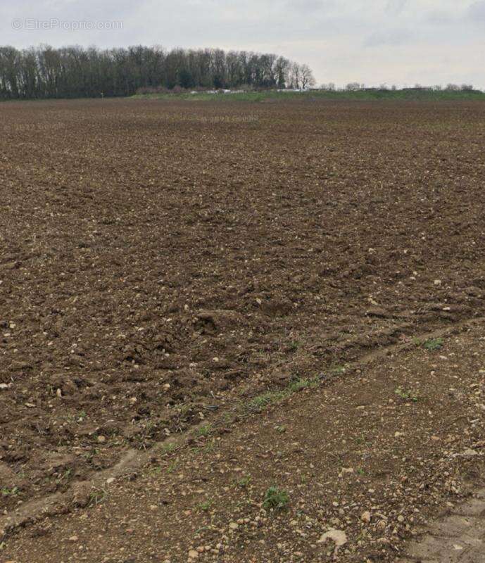 Terrain à SAINT-XANDRE