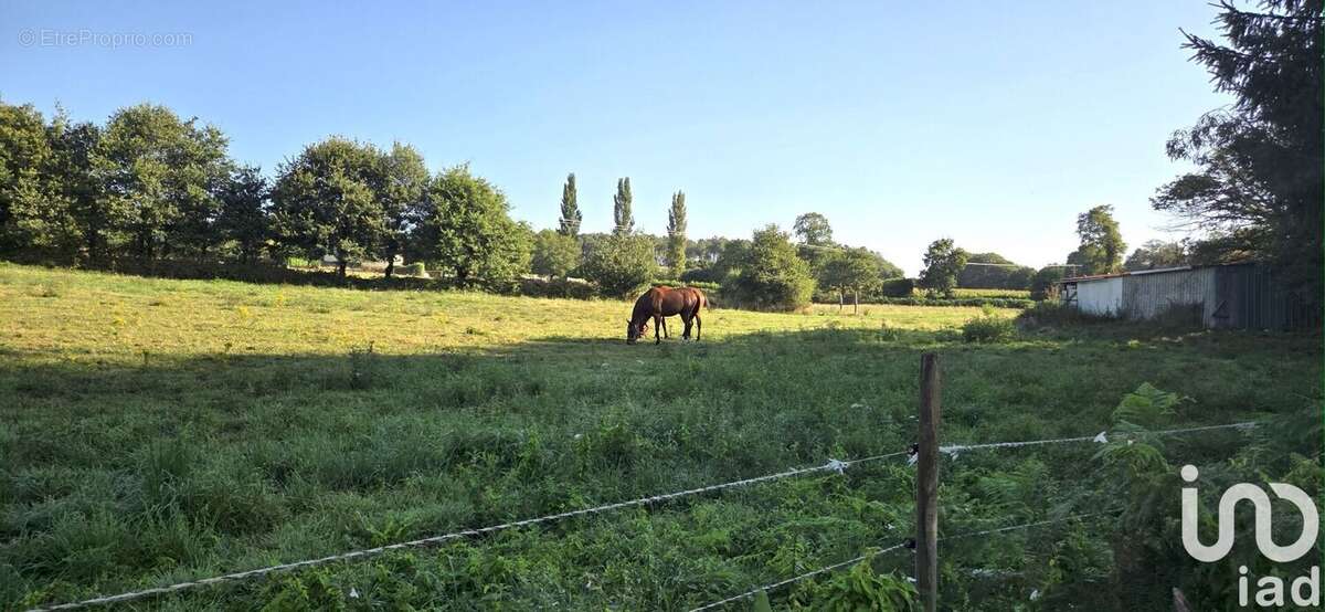 Photo 4 - Maison à MOLAC