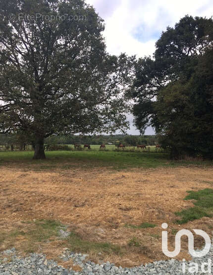 Photo 2 - Terrain à PLESSE