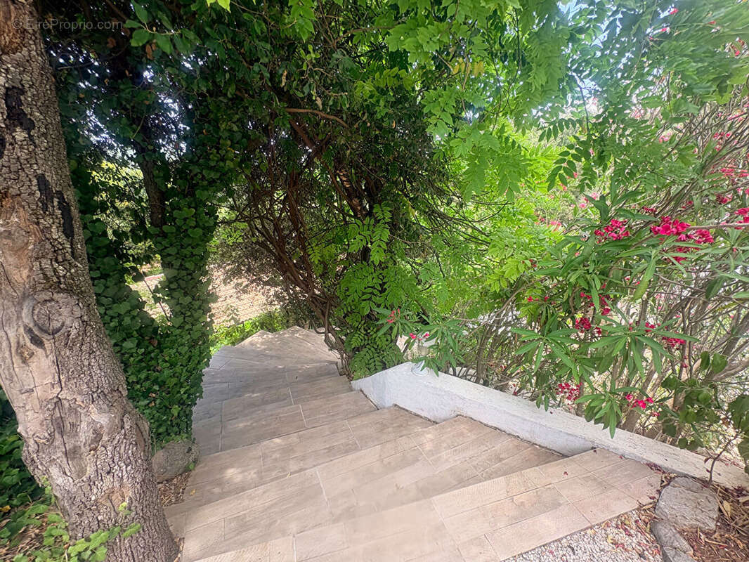 Villa 5/6 pièces - Taradeau - photo 7