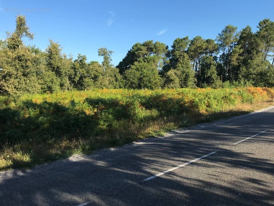 Terrain à GASTES