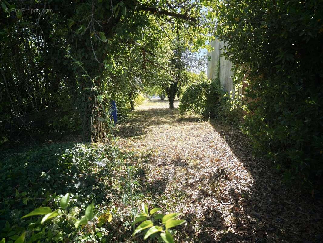 Maison de PLAIN-PIED à Vanault-le-Châtel. - photo 11