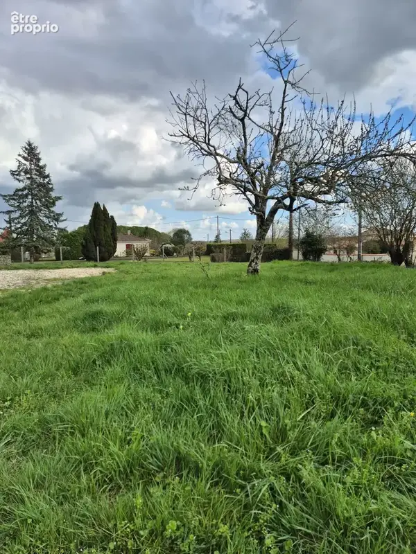 Terrain à BARBEZIEUX-SAINT-HILAIRE