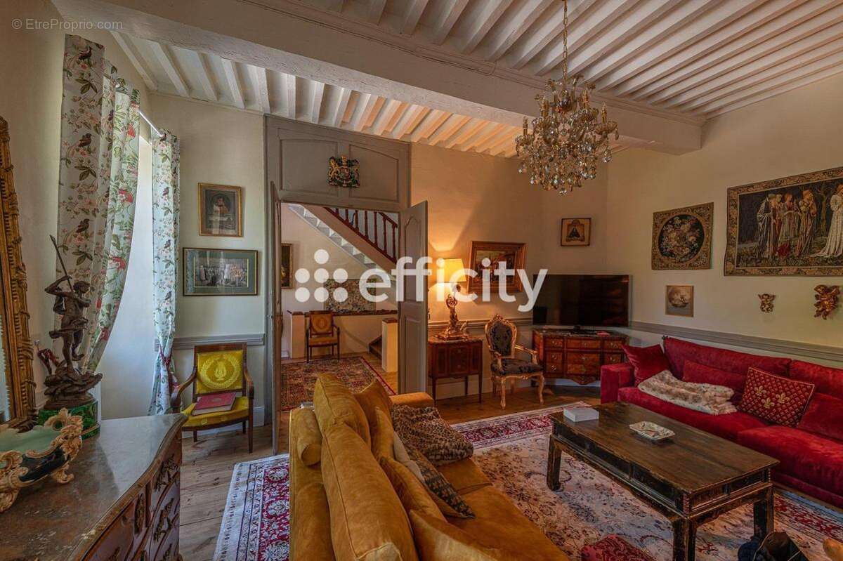 Maison 242 m² à Villeneuve-Sur-Vere  - photo 3