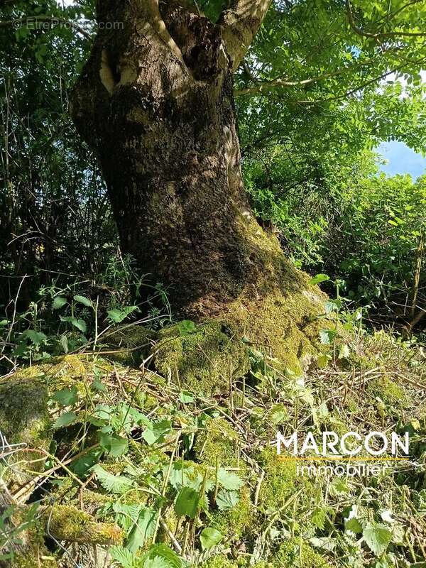 A 15 min de GUERET, grange avec terrain - photo 22