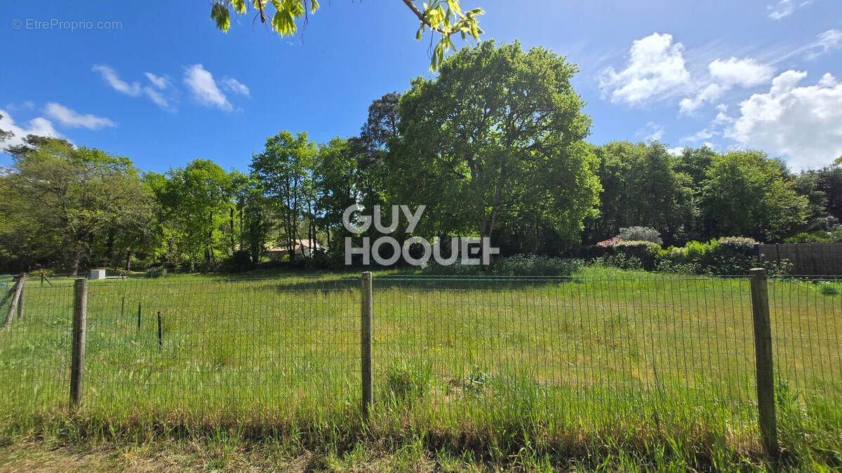 Terrain à SAINT-HILAIRE-DE-RIEZ