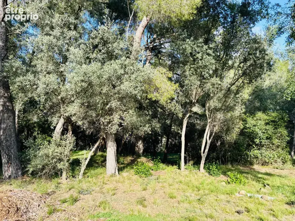Terrain 769 m² à Ollioules  - photo 2
