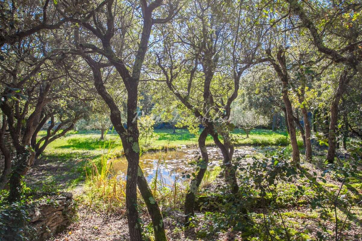 Maison à CABRIERES-D&#039;AVIGNON