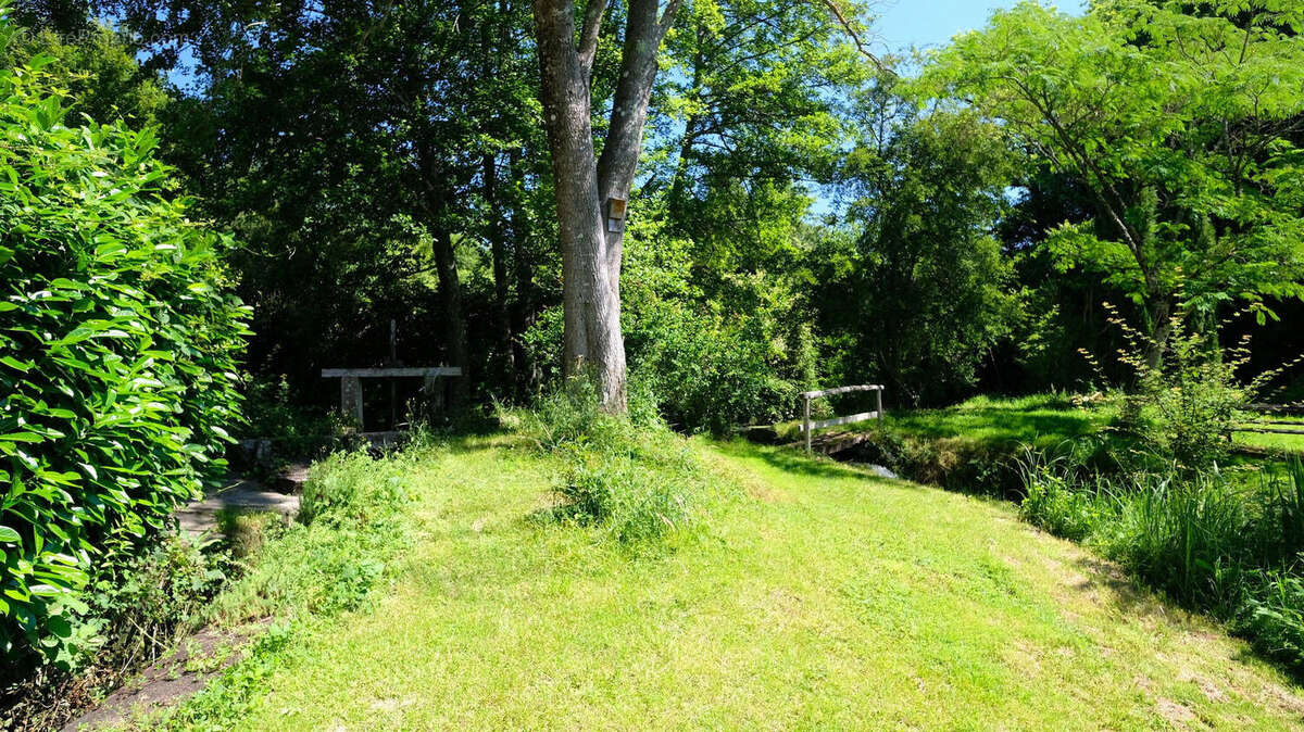 Charente. Moulin en Pierre pour Amoureux de la Nature, 8 ha, Ruisseau, Etang, Maison d'Amis, Bois - photo 6