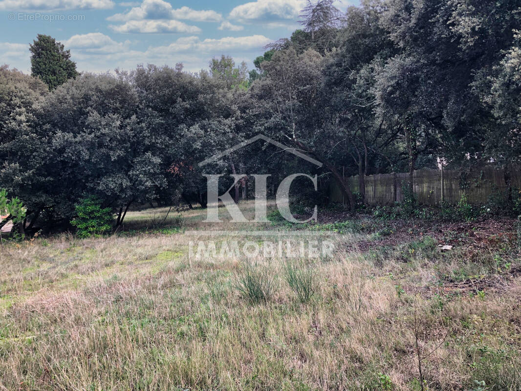 Terrain à CARCASSONNE