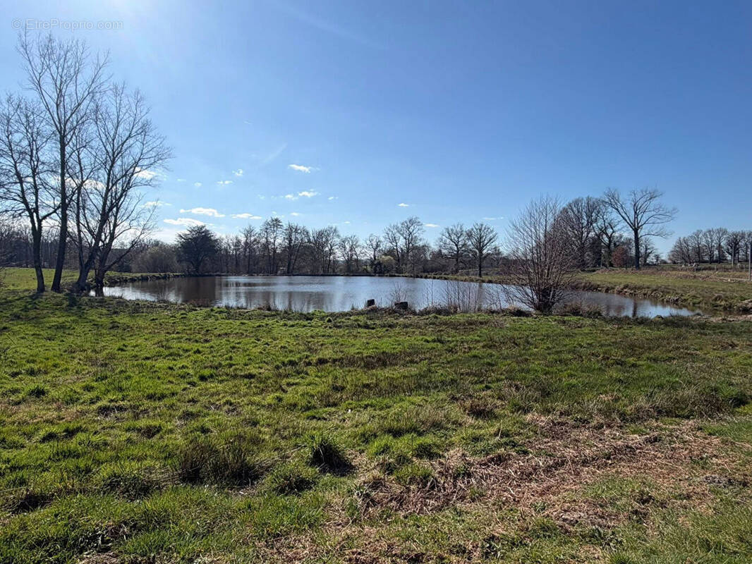 Terrain à BESSINES-SUR-GARTEMPE