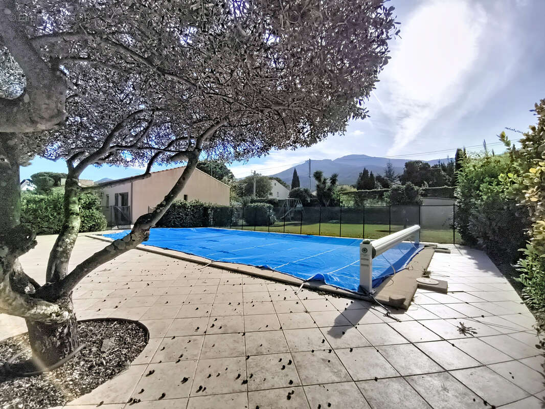 Maison à LAROQUE-DES-ALBERES