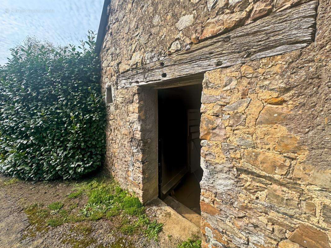 Maison à SAINT-AUBIN-DES-CHATEAUX
