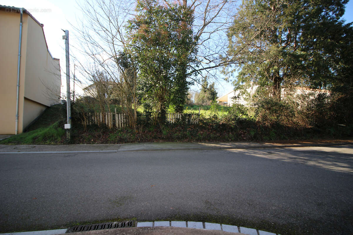 Terrain à MONTBARTIER