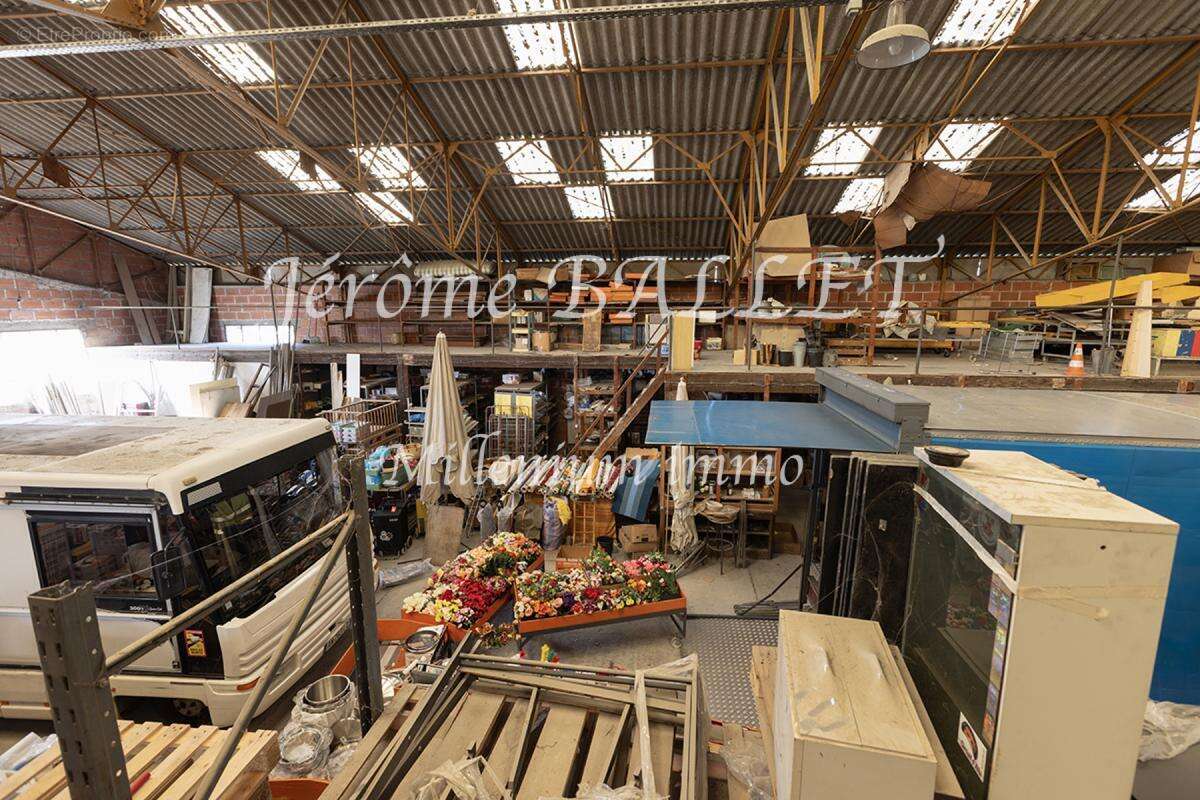 Commerce à ALBI