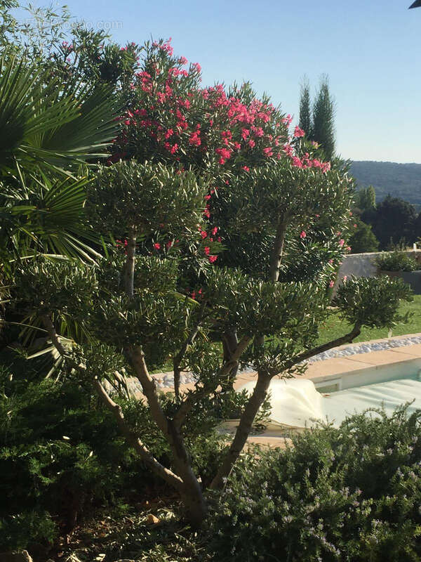 Maison à SAINT-MAXIMIN