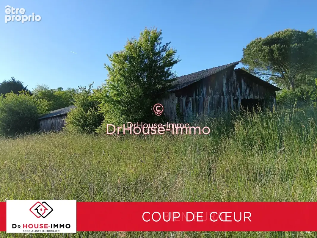 Terrain 6000 m² à Le Temple-Sur-Lot  - photo 14