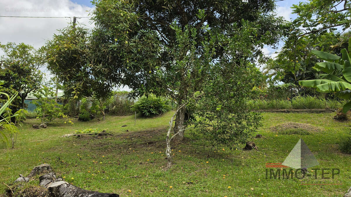 Terrain 500 m² à Riviere-Salee  - photo 5