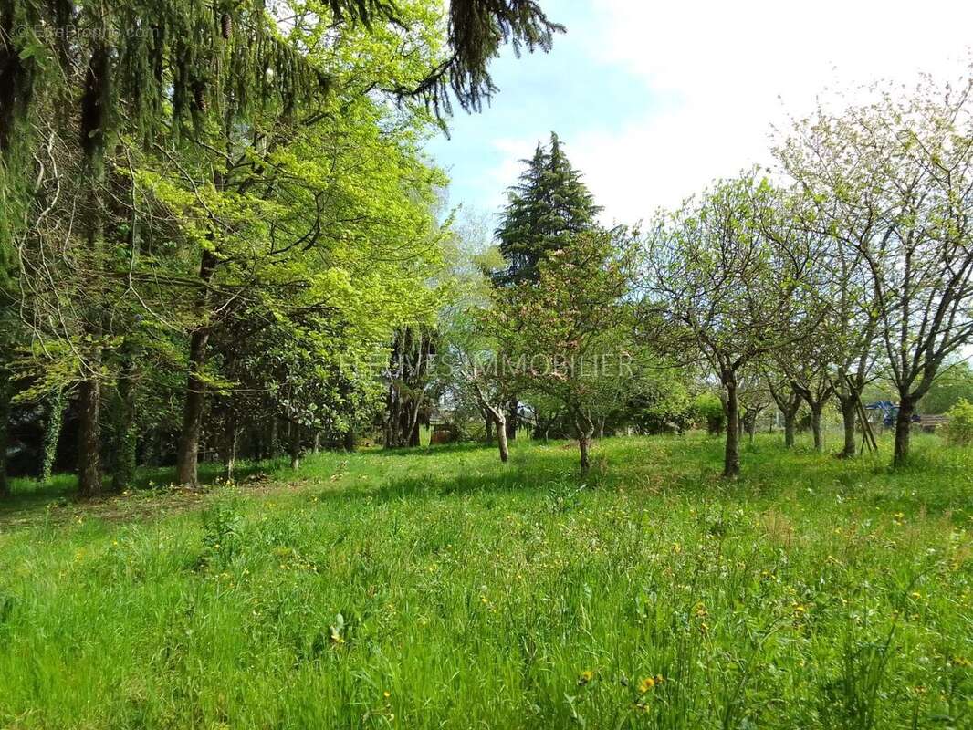 Maison 300 m² à Lucq-De-Bearn  - photo 79