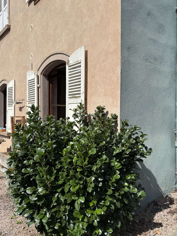 Maison à VILLE
