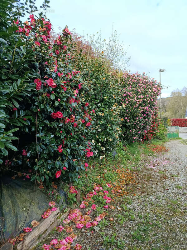 Maison à LE QUILLIO
