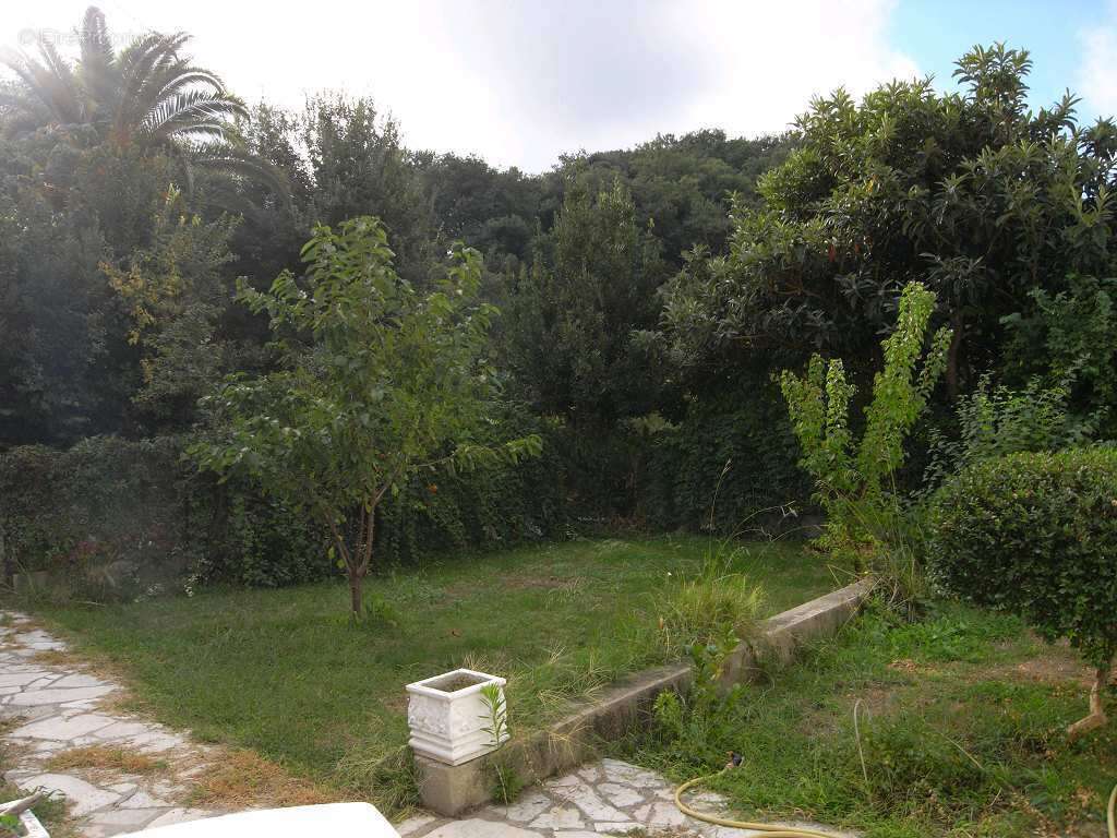 Laroque, maison t3 - photo 7
