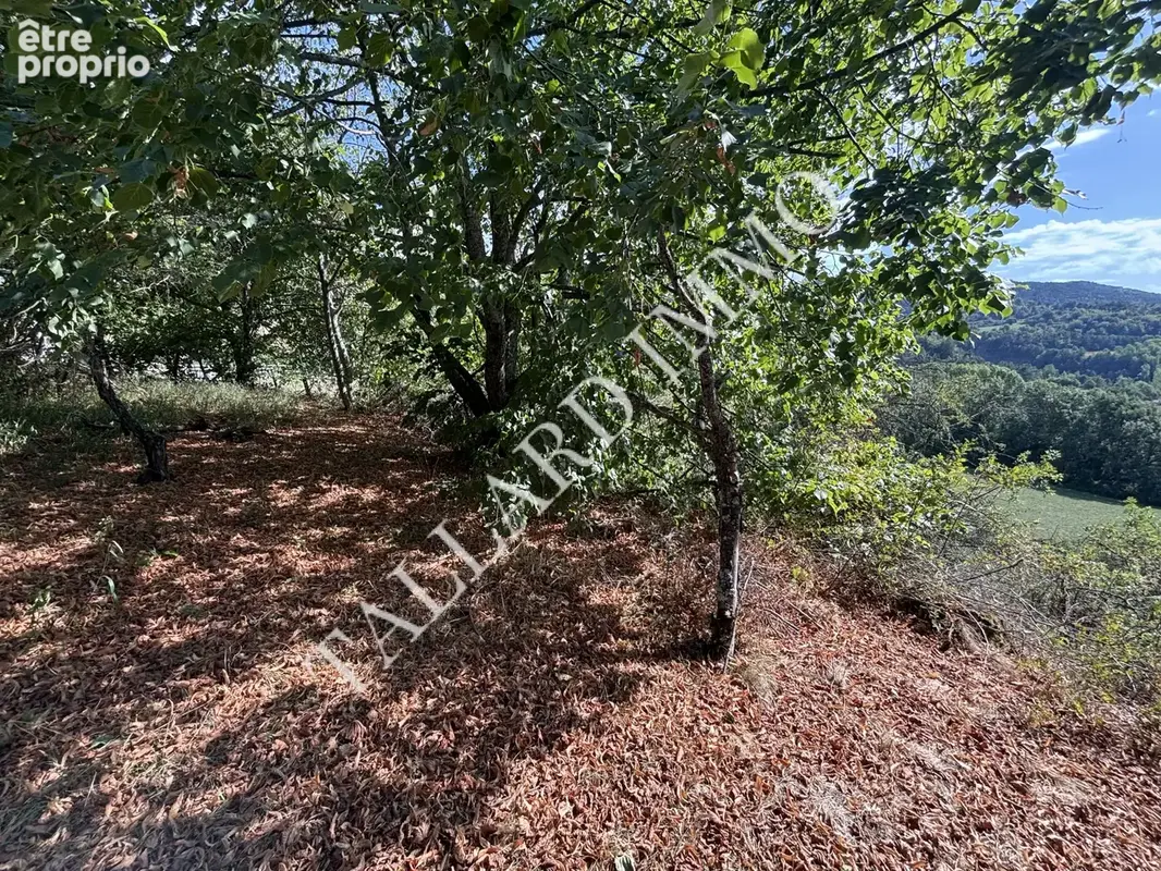 Terrain 1 687 m² à vendre à Tallard (05130) - photo 3
