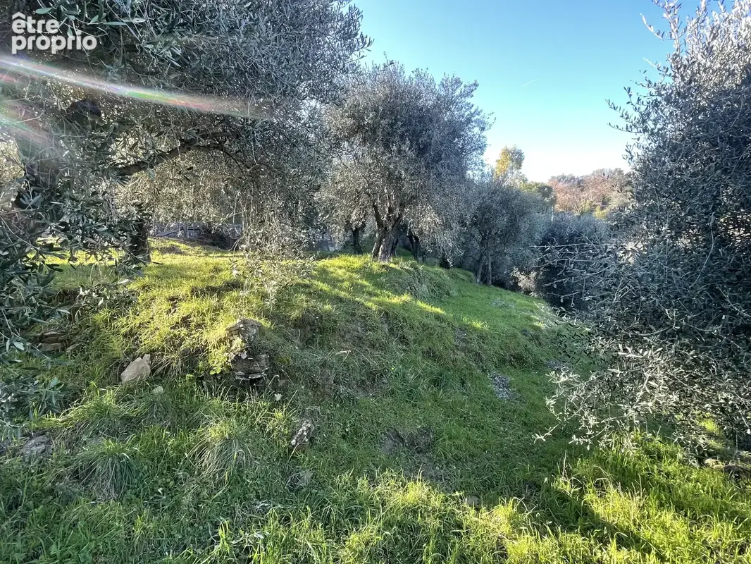 BERRE LES ALPES - Terrain constructible - photo 7