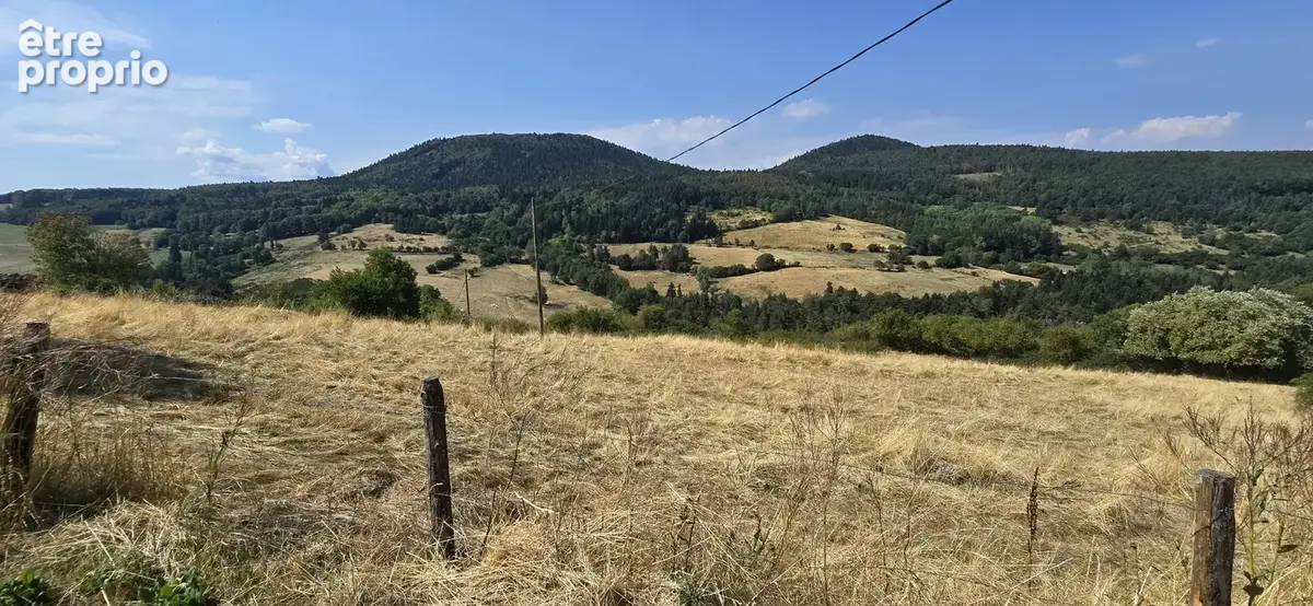 Maison en pierre de 188 m2 habitables sur un peu plus de 3 hectares de terrain - photo 4