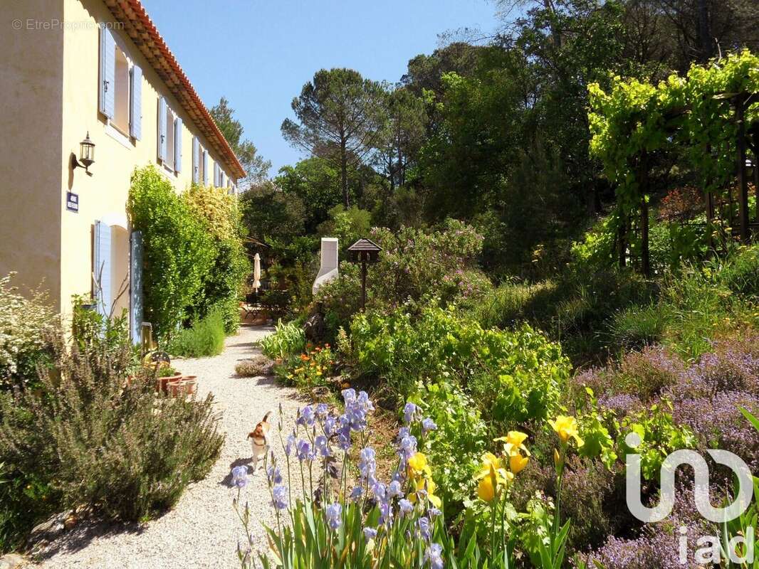 Maison 341 m² à Bras  - photo 6
