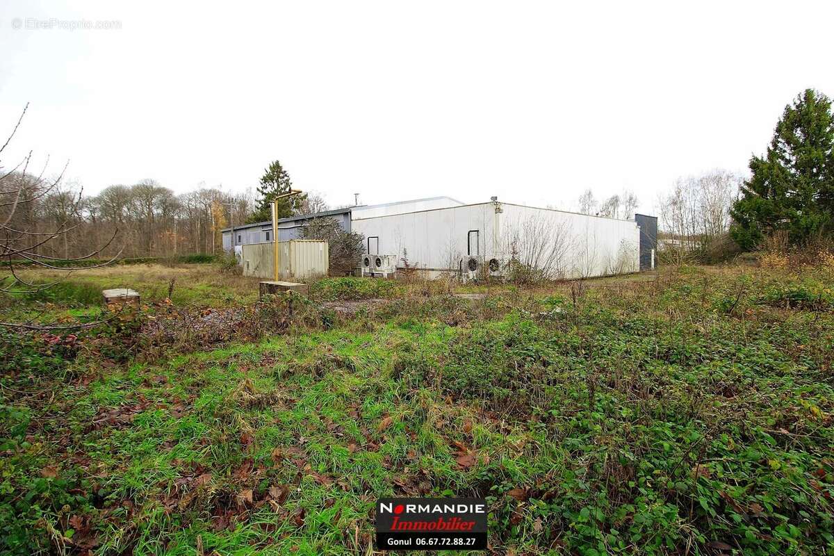 Commerce à QUINCAMPOIX