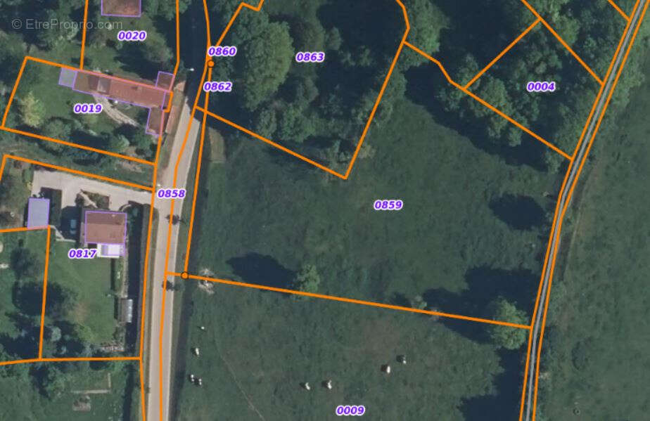 Terrain à SIBIVILLE