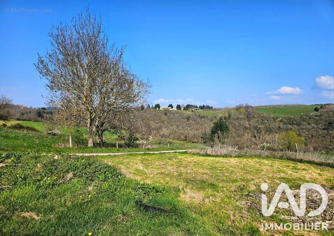 Maison 150 m² à Saint-Victor  - photo 8