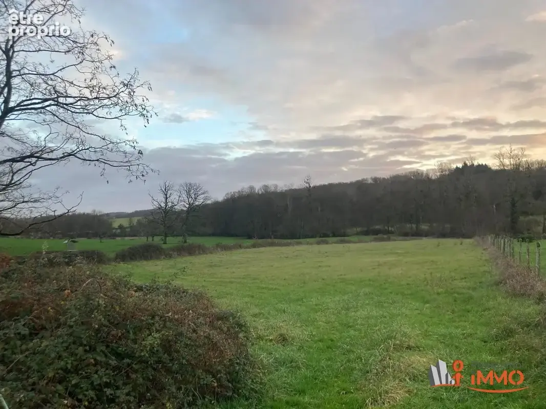 Beau de terrain de 4807m2 avec ruisseau en bordure - photo 3